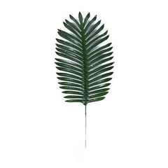 Basjoo Leaf