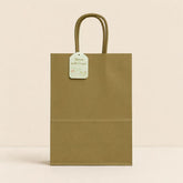 Craft G.S Colour Bag(4PCS/22*16*8CM/S)