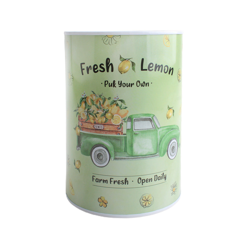 Money Tin Car(10*15CM)