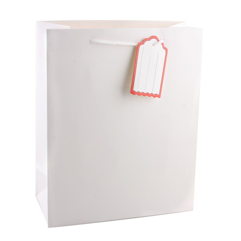 Solid colour Gift Bag(23*18*10CM/S)