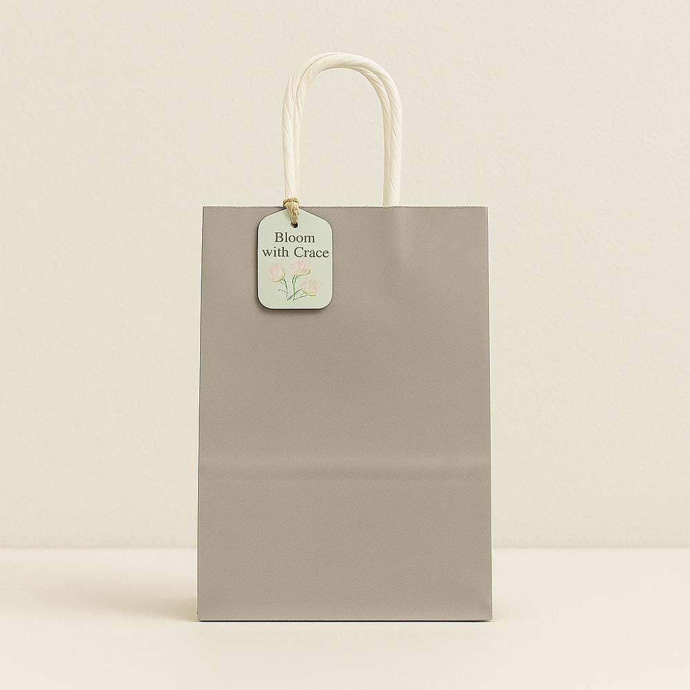 Craft Solid Colour Bag(3PCS/27*22*11) in elegant grey with sturdy handles and gift tag.