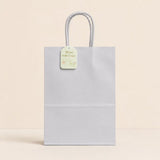 Craft G.S Colour Bag(2PCS/42*31*12CM/XL)